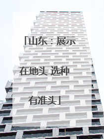 山东：展示在地头 选种有准头